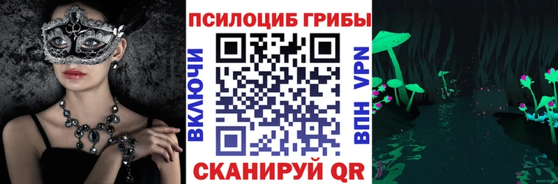даркнет сайт  Якутск  Галлюциногенные грибы Psilocybe 